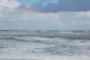 DSC_0446.JPG