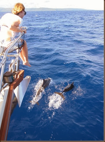 sailing siargao island dolphins at the bow 1