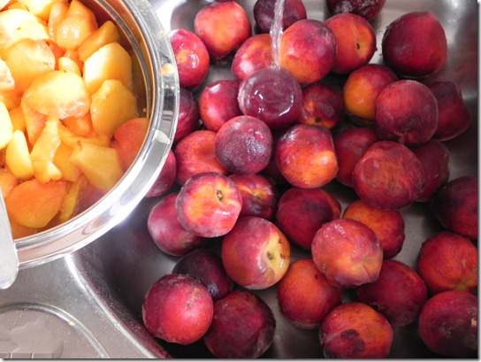polenta-peach-cake-2 polenta-peach-cake-2