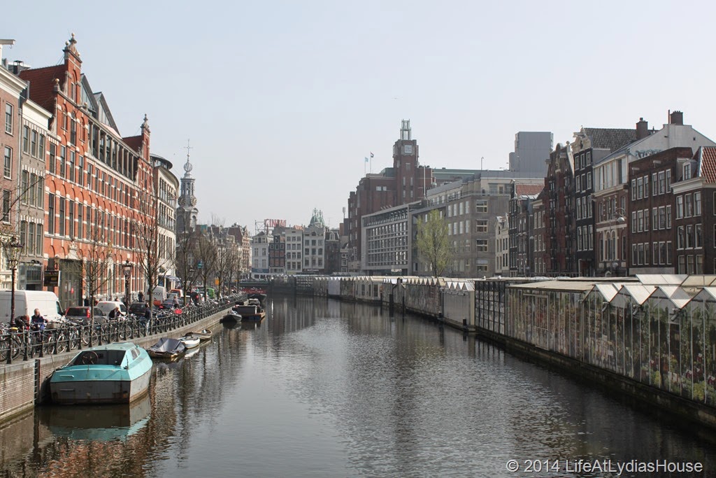 [flower-market--view-of-back-side10.jpg]