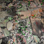 DSC00347.JPG
