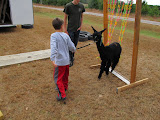 IMG_0079-1.JPG