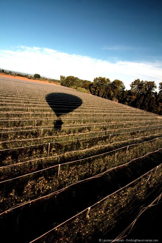 Landing-in-a-peach-field1
