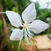 DSC00677.JPG