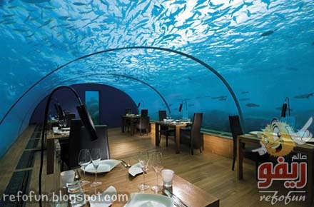 [rangali-underwater-restaurant-refofun.jpg]