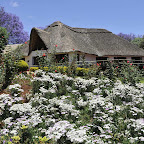 Ngorongoro Farm House © Foto: Svenja Penzel | Outback Africa Erlebnisreisen