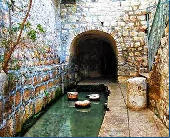 siloam pool