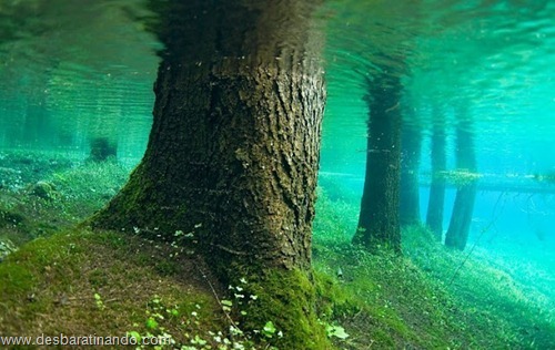 Green Lake parque submerso austria desbaratinando (4) Green Lake parque submerso austria desbaratinando (4)