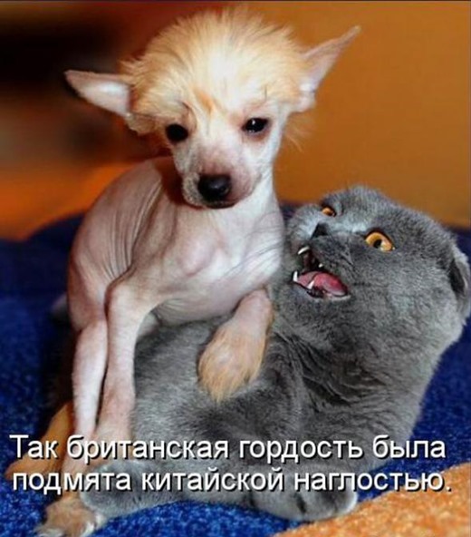 [687e48d75501c9f5e3637d2f3d6_prev%255B3%255D.jpg]
