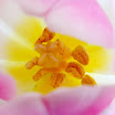 0IMG_3453.JPG