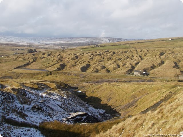 burtree diggings