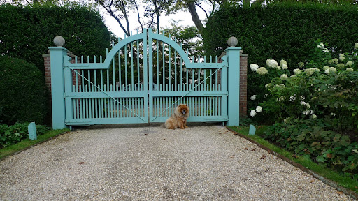 Honestly, those Frenchies can be so impatient.  We, chows, were bred to sit patiently and guard our master's home.  They could certainly learn a lesson in doggedness!  HA!!!!