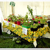 Horticulture 006.jpg