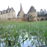 photoDSC00667.jpg