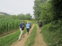 On the trail