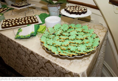 'St. Patrick's Day Celebration' photo (c) 2012, Maryland GovPics - license: http://creativecommons.org/licenses/by/2.0/