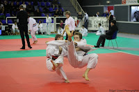 IMG_2236.jpg