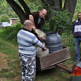 Jesenne zarybňovanie kaprom K3 v Remeninách a na Topli 2011
