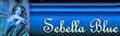 signature (1) signature (1)