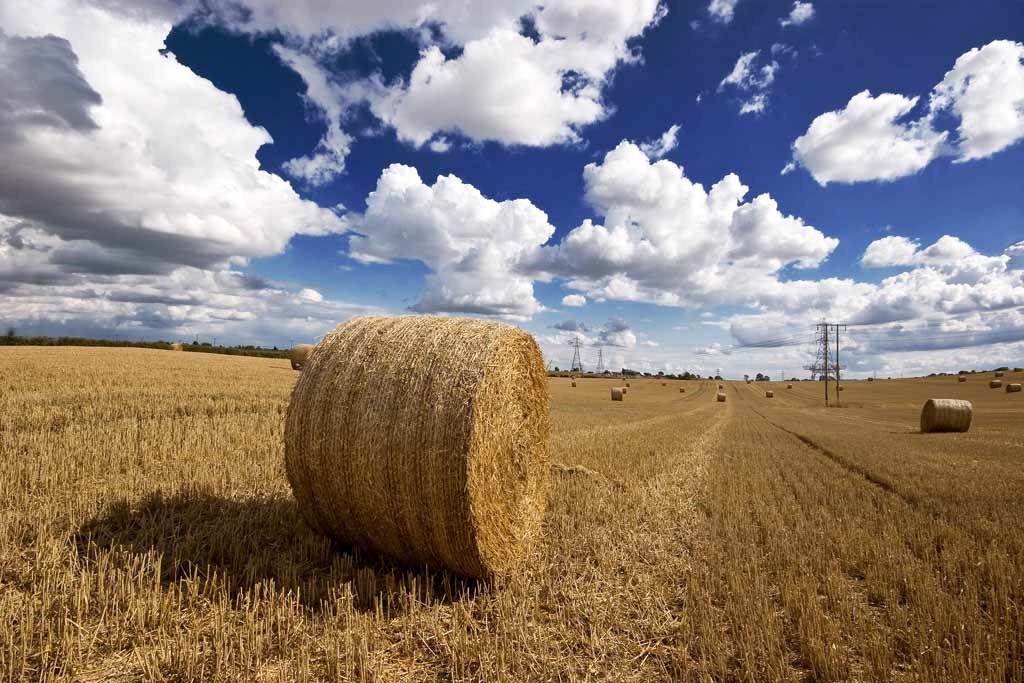 [Hay-Bales-2%255B7%255D.jpg]