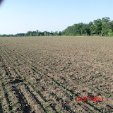 CIMG6562.JPG