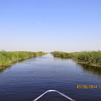 IMG_5706.JPG