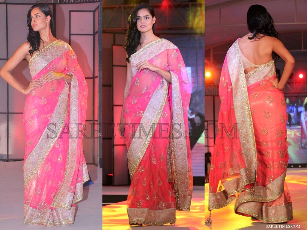 [Manish_Malhotra_Pink_Embroidery_Saree%255B4%255D.jpg]