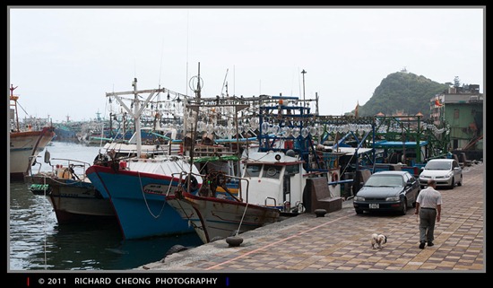 DSC_0491 DSC_0491