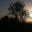Del Picasa