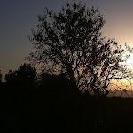 IMG_1990.JPG