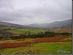 P1120435 P1120435