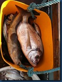 IMG-20120501-WA0013 IMG-20120501-WA0013