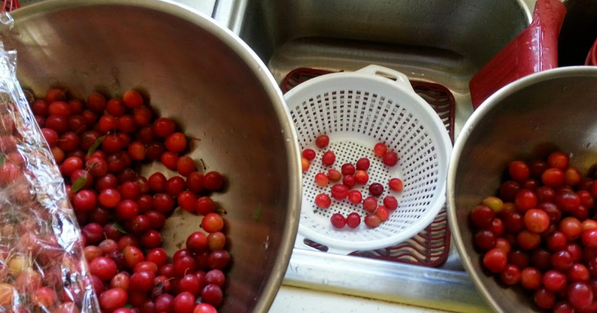 The Vogele Homestead Sand Plum Jam