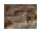 rock study 1, 2010, digital c-print (single edition), 16 x 20 in.