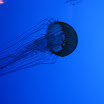 Boston 2008 151.JPG