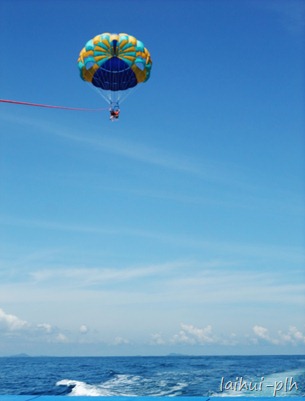 DSCF8185