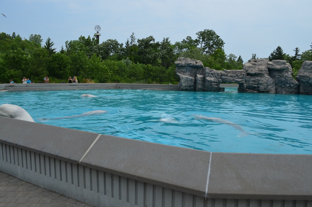 [DSC_1697%255B3%255D.jpg]