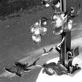 009_11-2.jpg