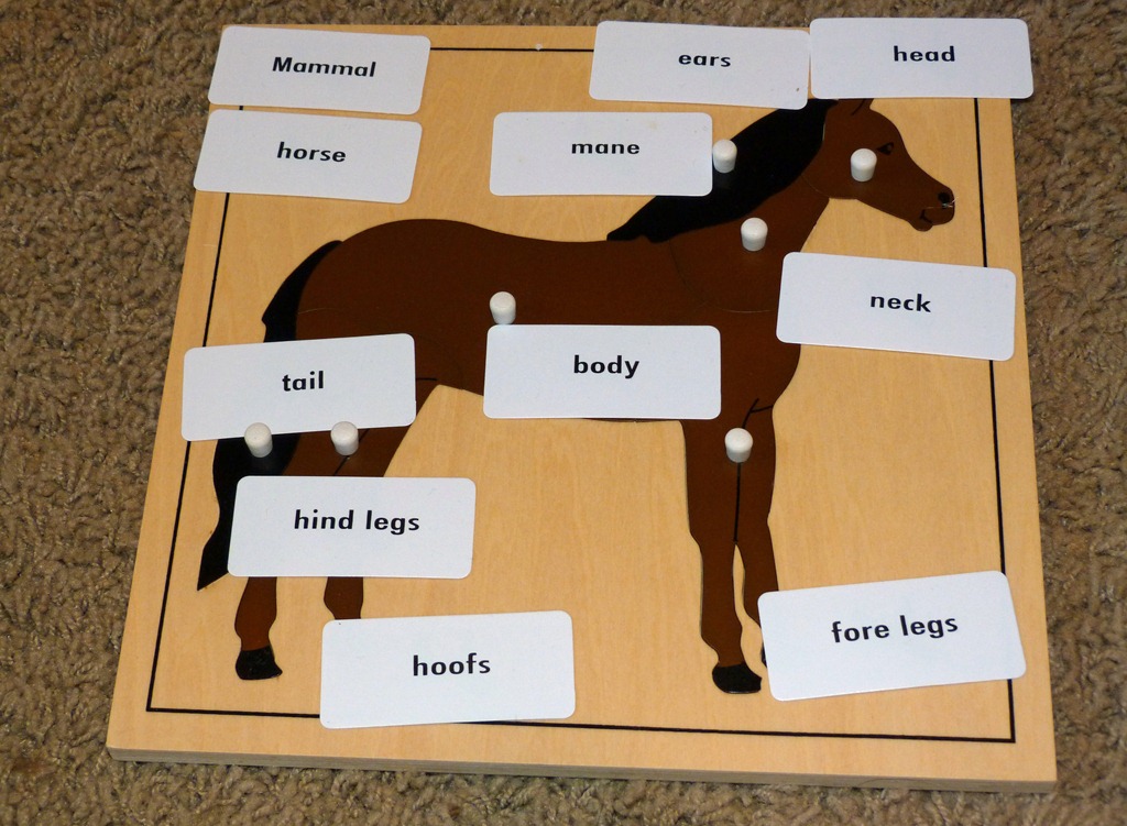 [Montessori-Parts-of-a-Horse-Puzzle-L%255B1%255D.jpg]