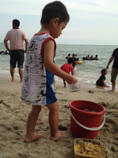 IMG_7987.jpg IMG_7987.jpg