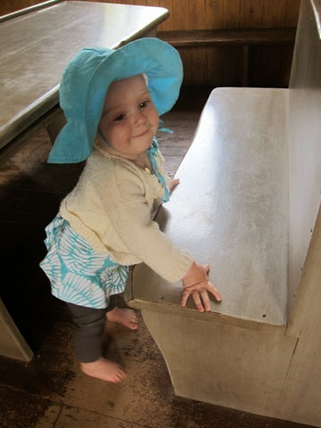 IMG_2450 IMG_2450