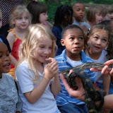 Hamilton County Parks