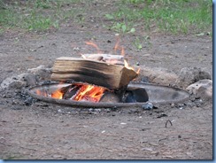 5121 Laurel Creek Conservation Area - our last fire 5121 Laurel Creek Conservation Area - our last fire