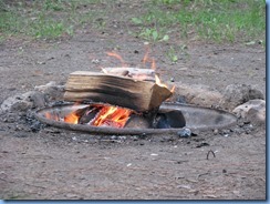 5121 Laurel Creek Conservation Area  - our last fire