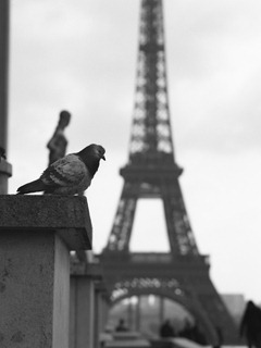 Film-120-#17--13