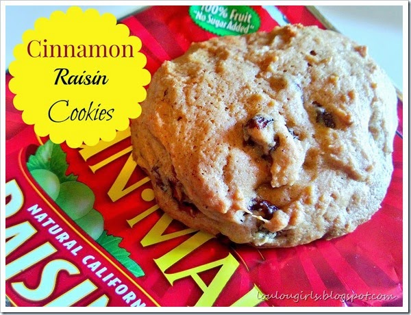 cinnamon raisin cookie