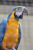 IMG_8490.JPG