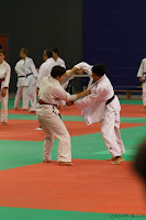 _MG_9330.jpg