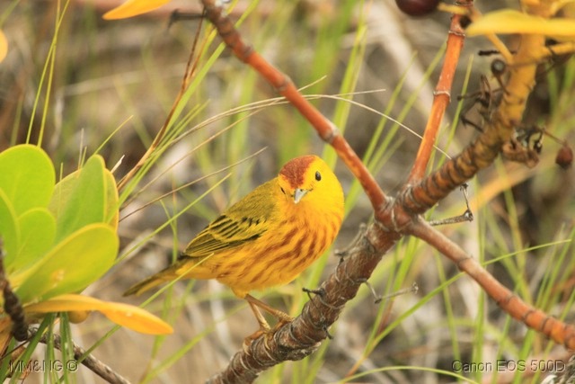 [IMG_0122%255B5%255D.jpg]