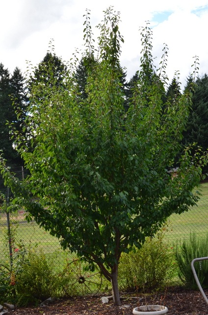 [DSC_0037%255B4%255D.jpg]